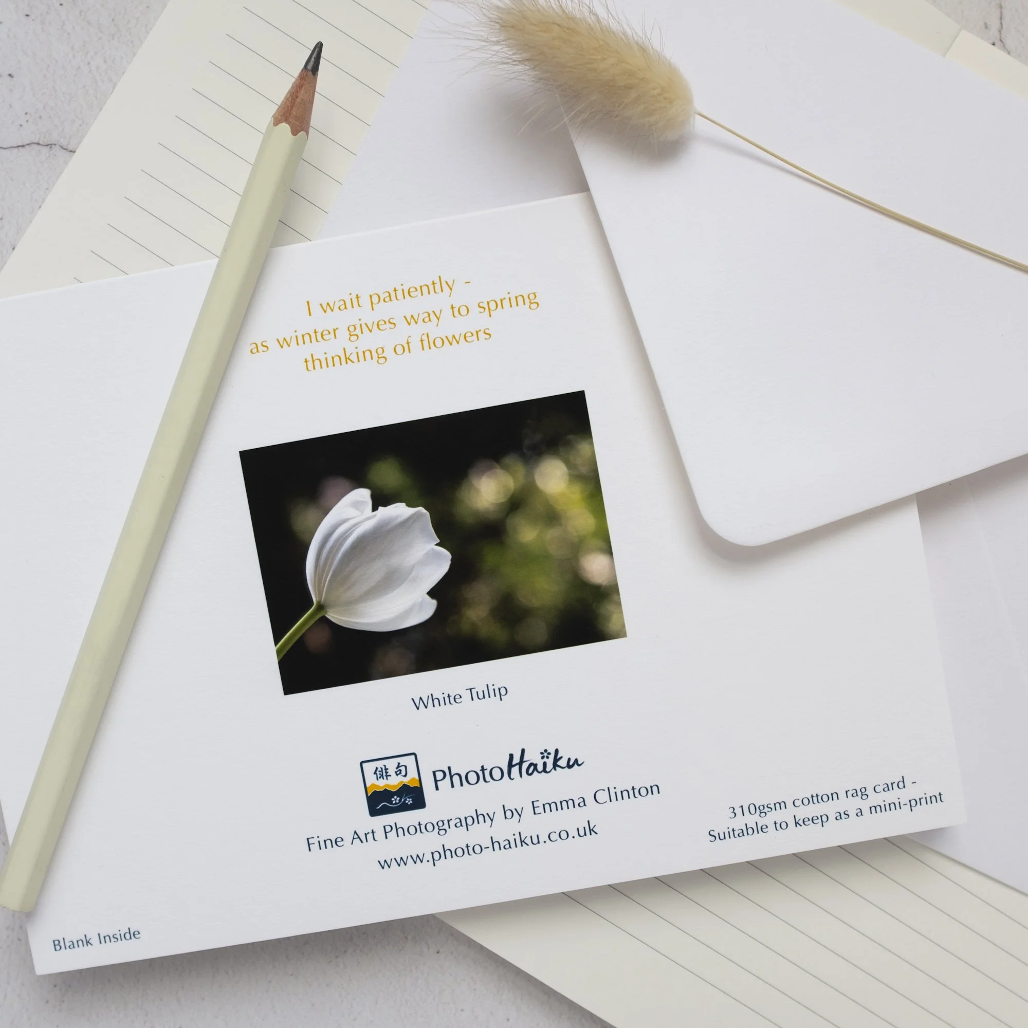 White Tulip Luxury Spring Greeting Card with Haiku Poem on Reverse, Blank Inside