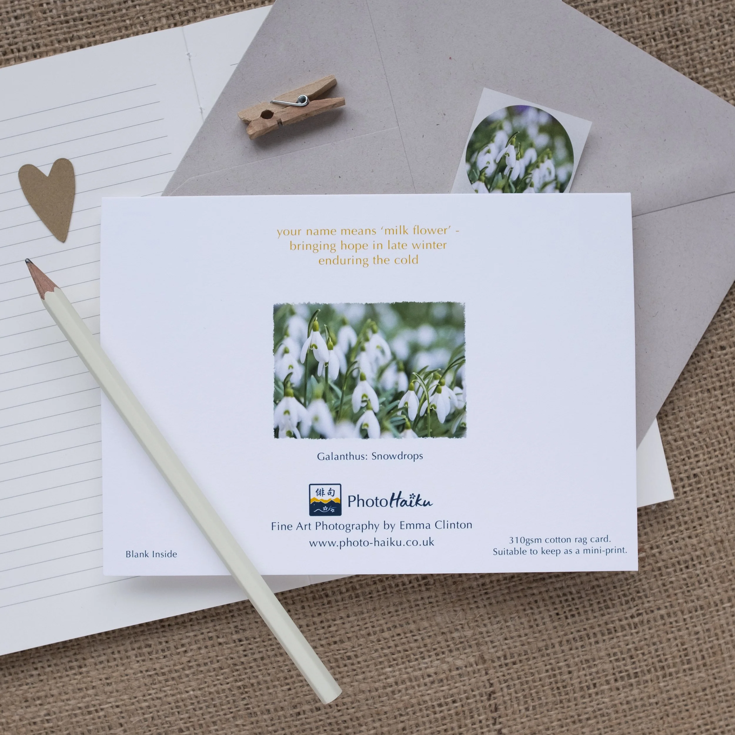 Snowdrops Greeting Card
