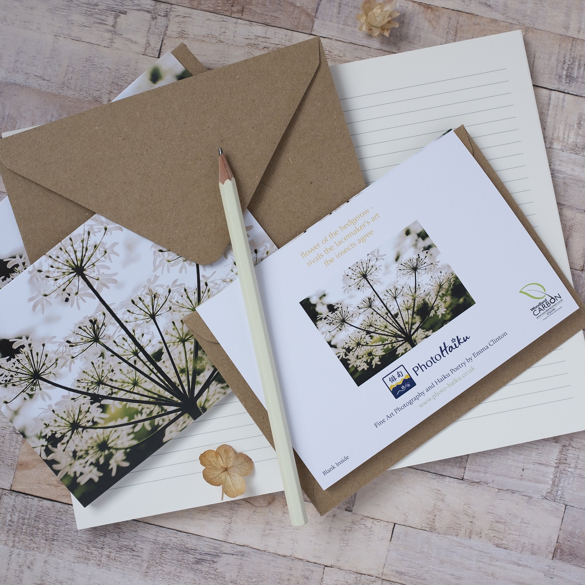 Wildflower Note Cards UK