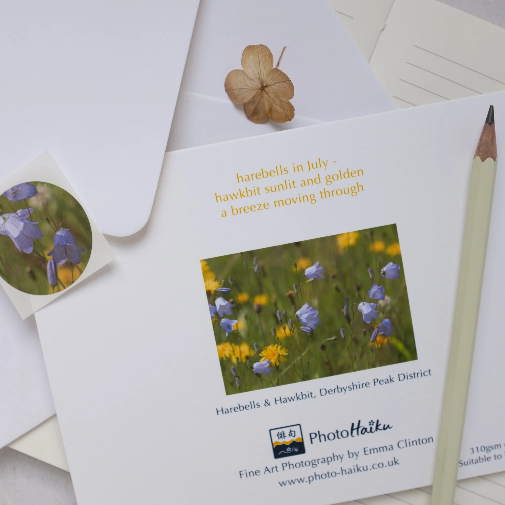 Harebells wildflower photographic card with matching sticker seal and haiku poem on reverse, blank inside