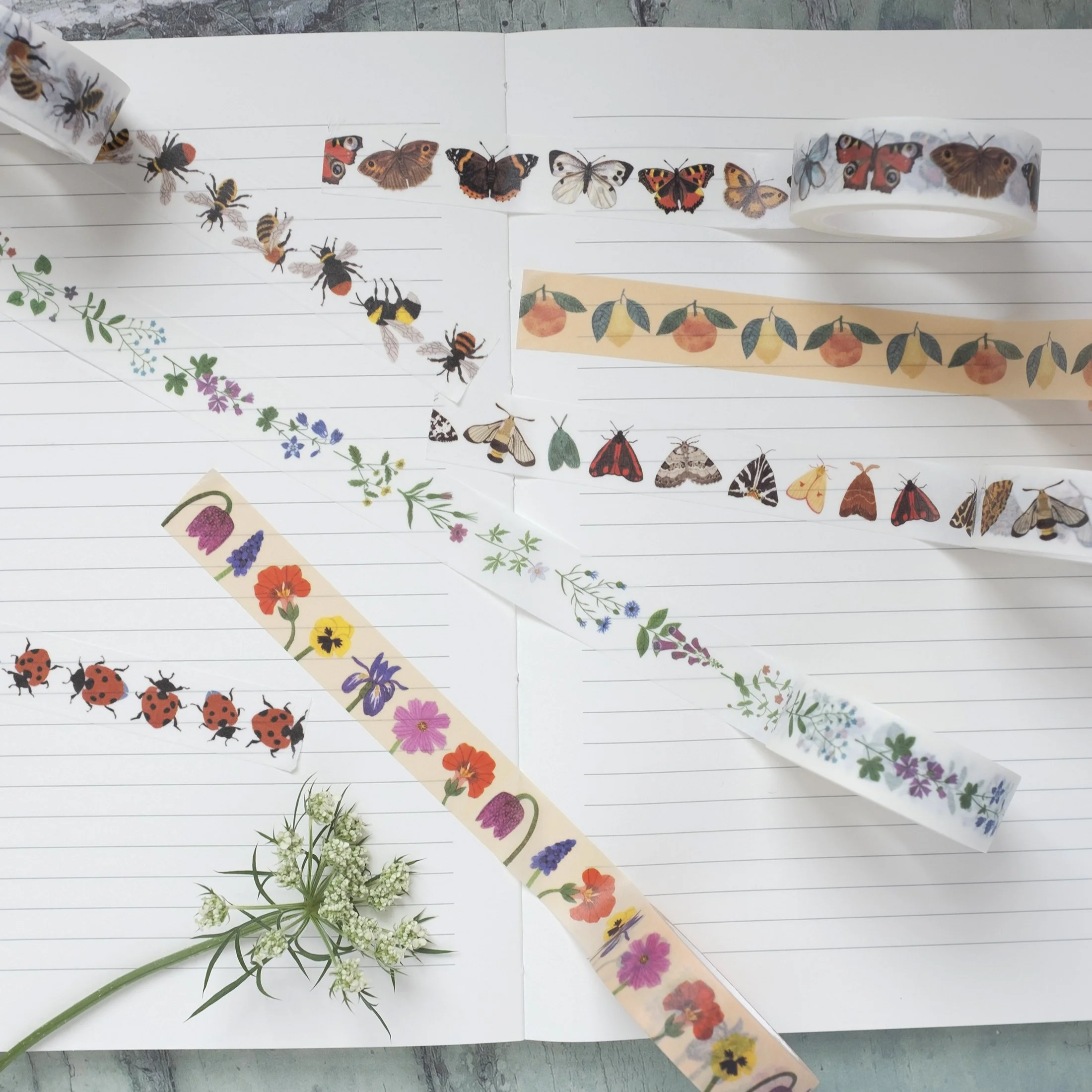 The range of beautiful nature washi tapes available from the Katrina Sophia collection.