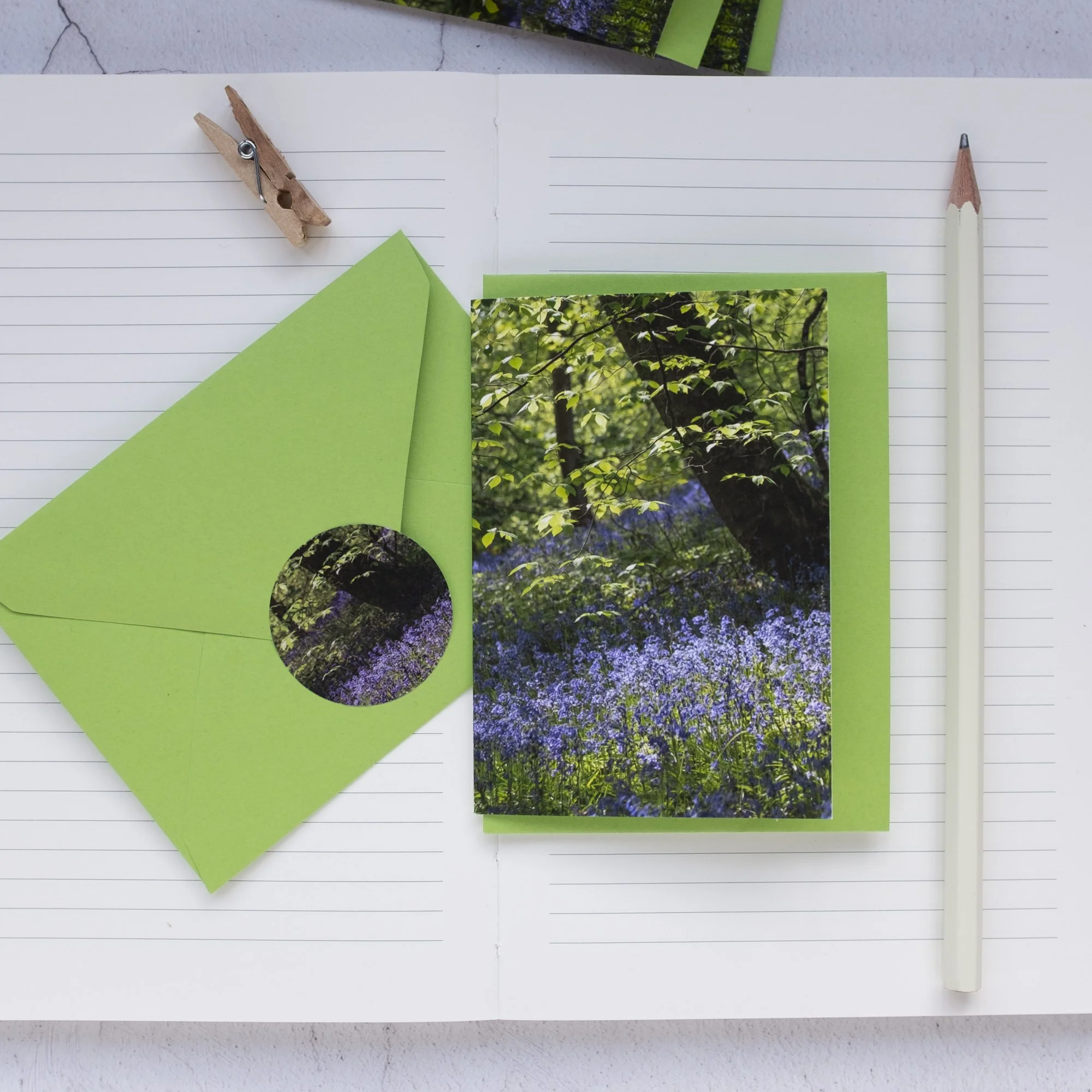 Bluebell woods mini notelets set