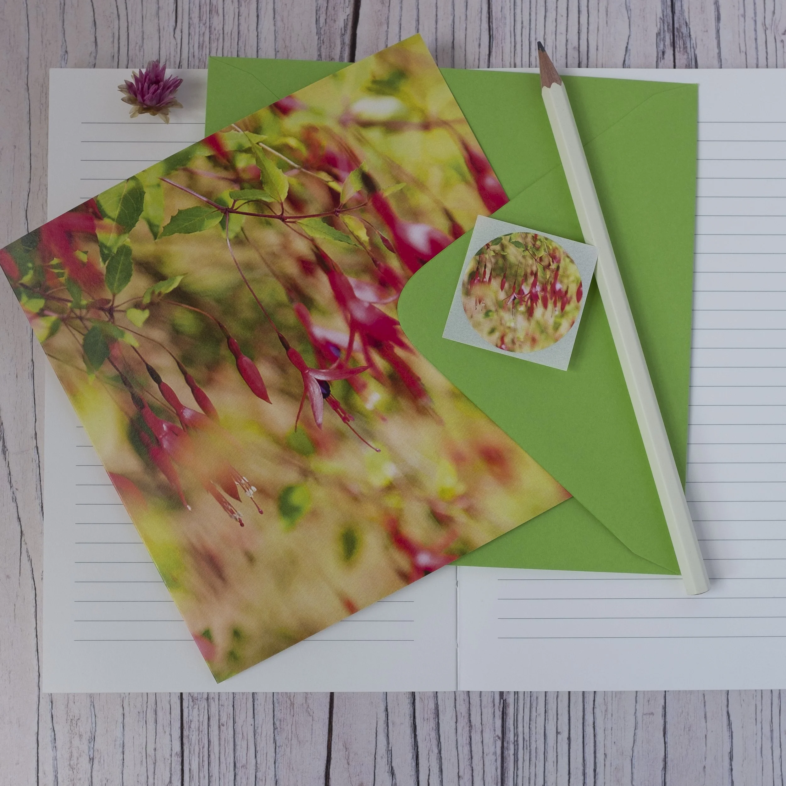 Fuchsia Fine Art Photographic Card
