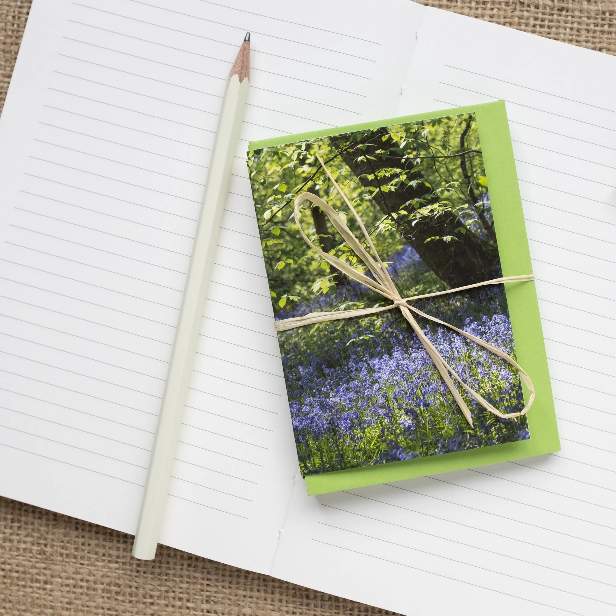 Bluebells mini notelets set