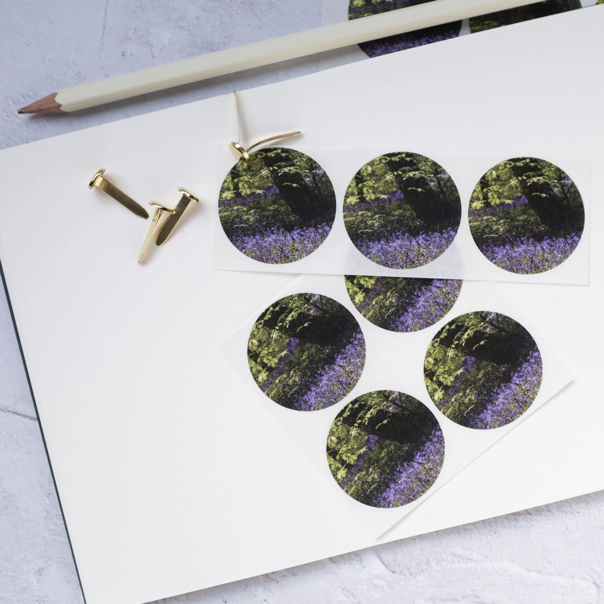 Bluebells spring stickers set