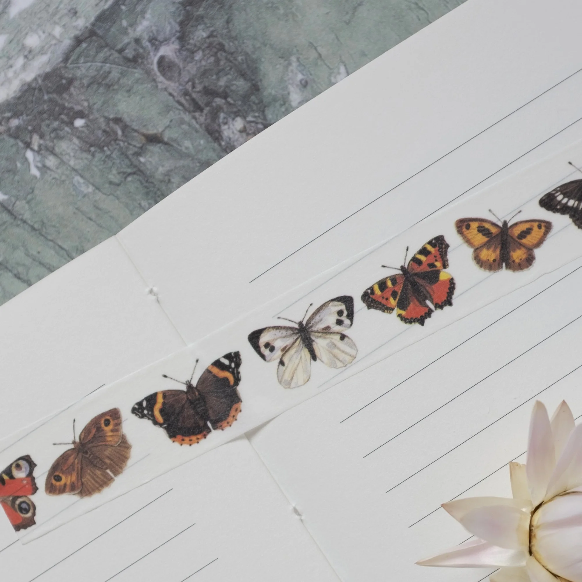 British Butterfly Washi Tape2.jpg