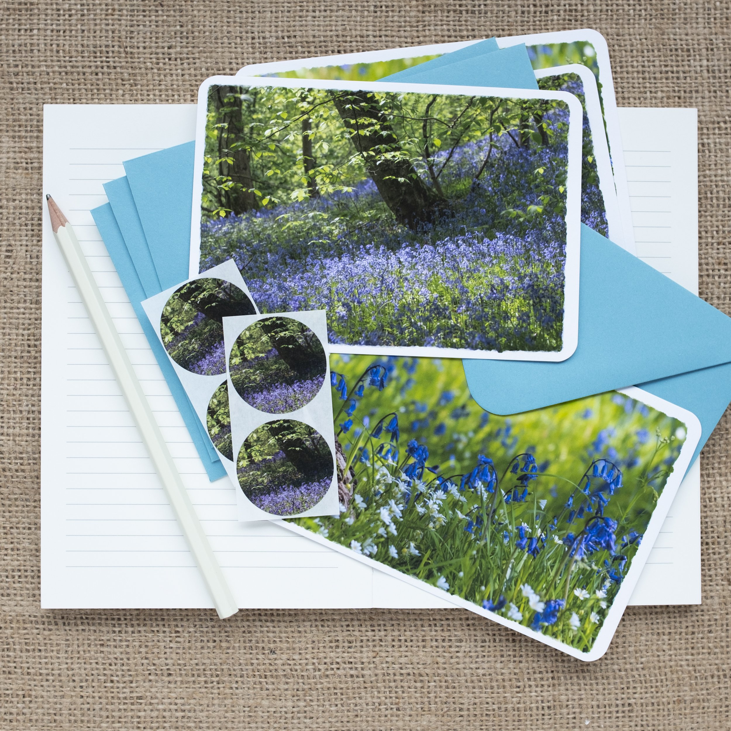 Bluebell notelets set UK