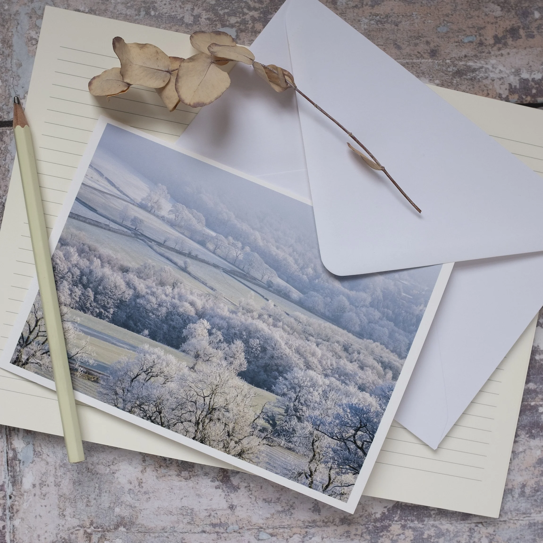 Winter Landscape Luxury Photographic Greeting Card