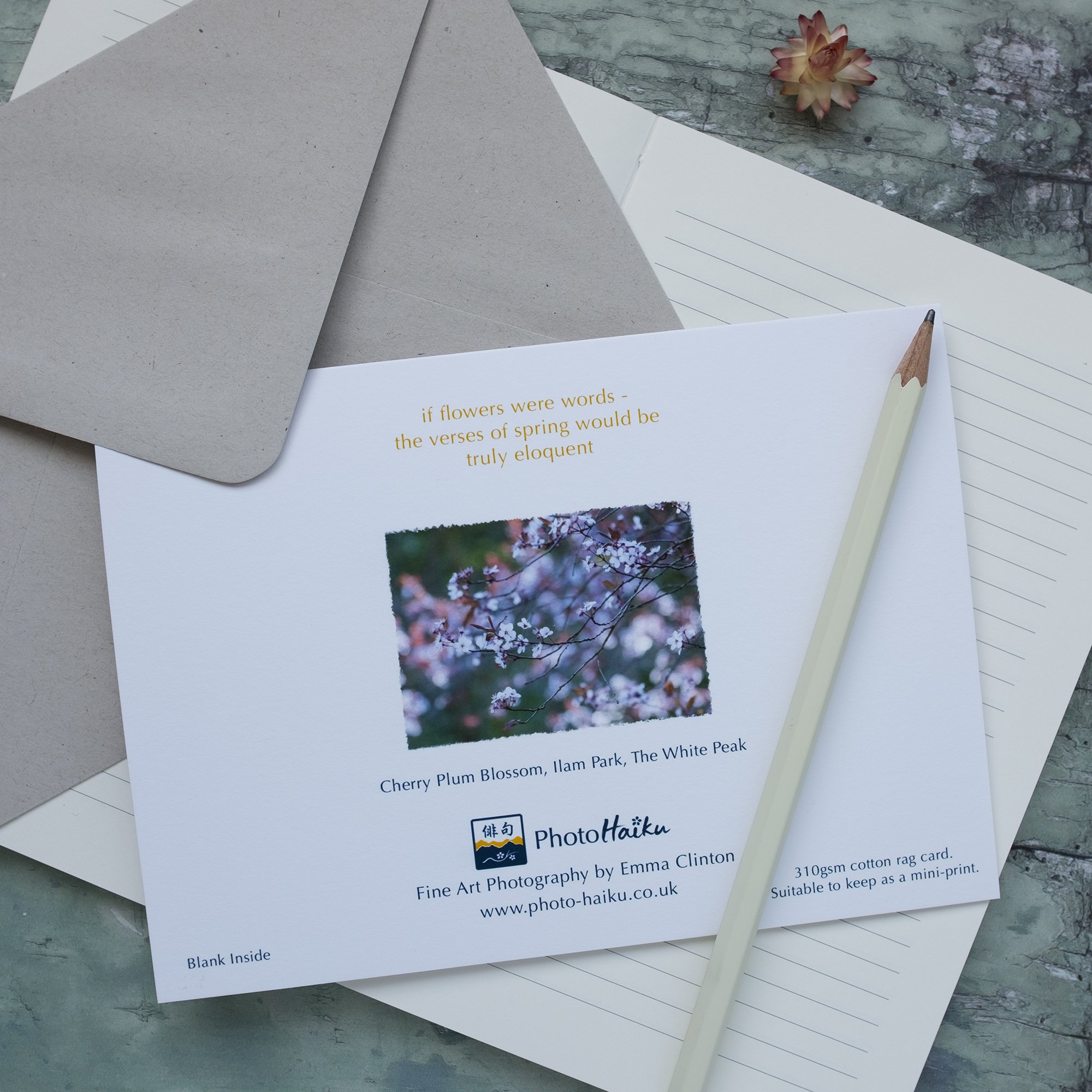 Cherry Plum Blossom Card