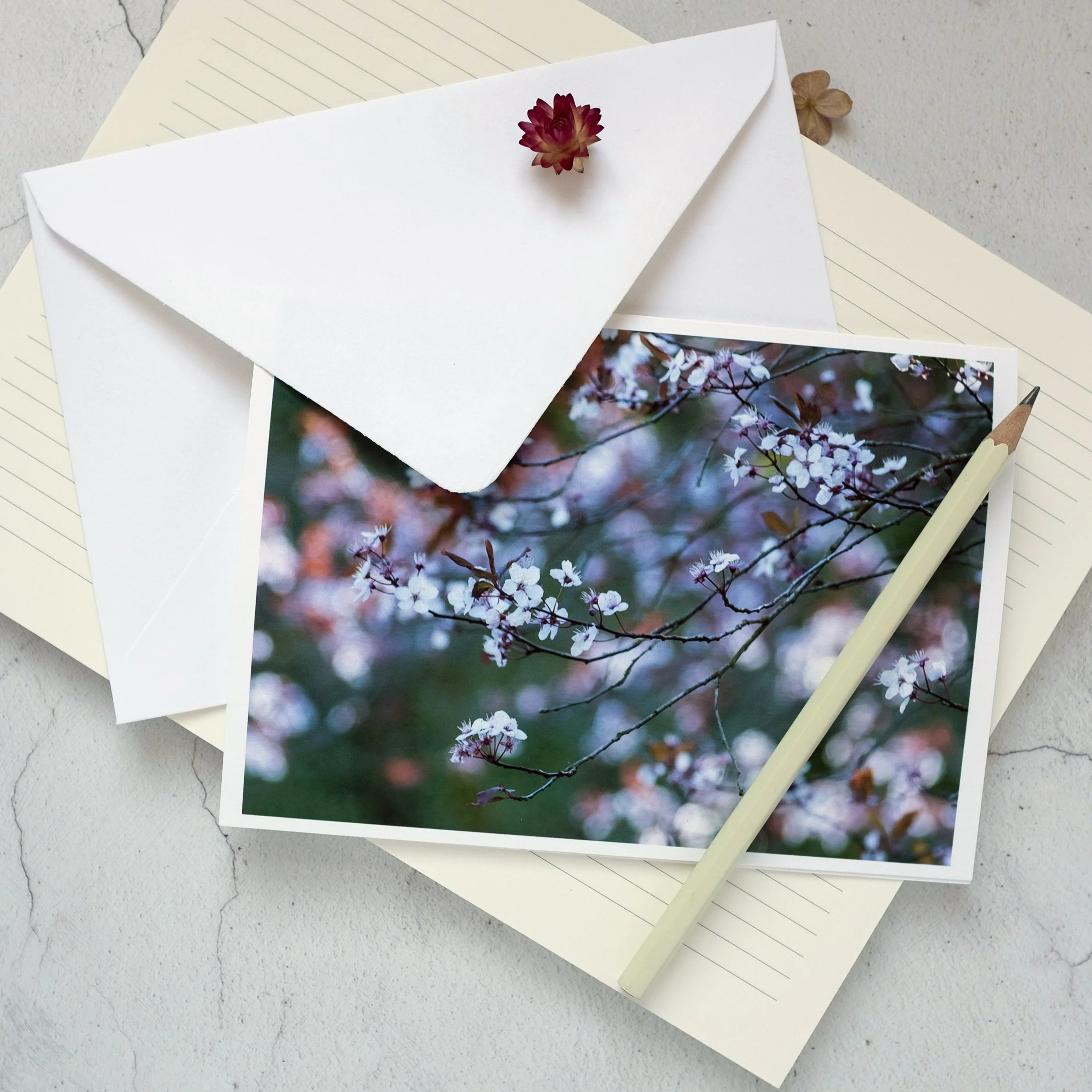 Luxury Cherry Plum Blossom Spring Greeting Card