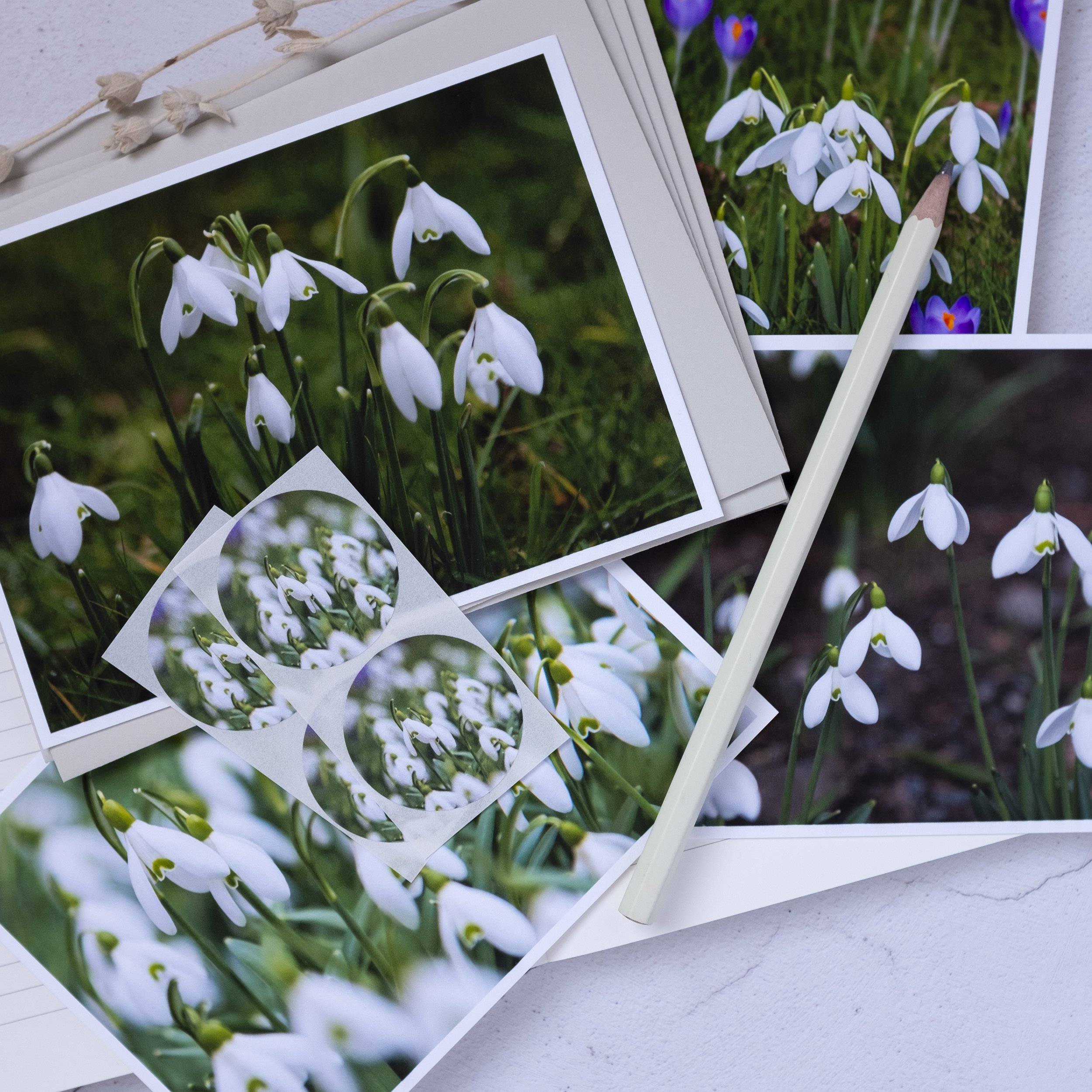 Snowdrop notelets set made in the UK, A6 with snowdrop sticker seals.