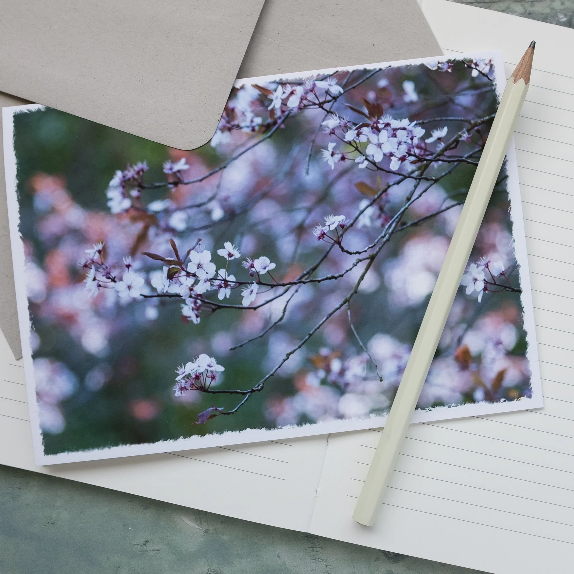 Cherry Plum Blossom Card