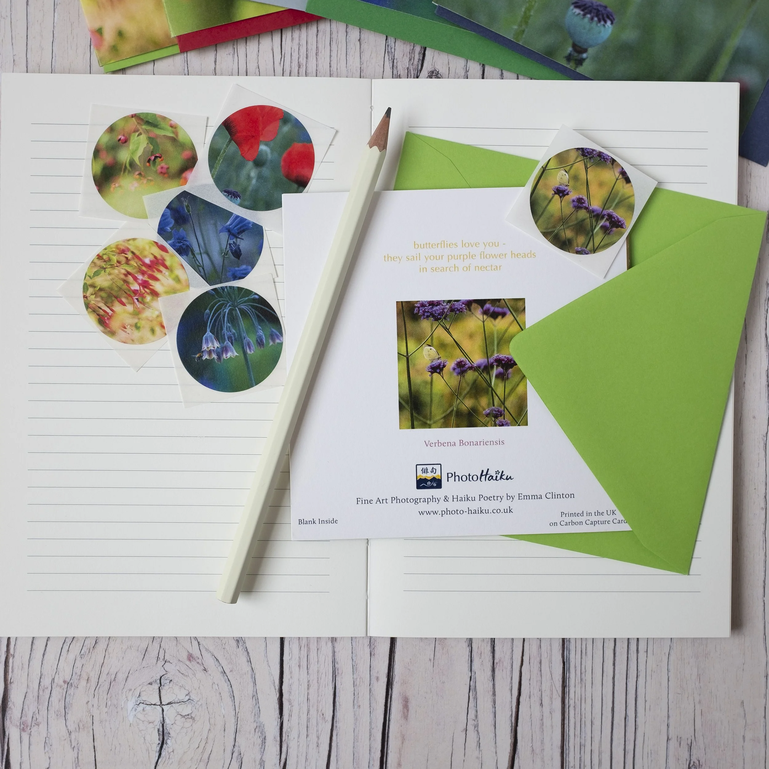Garden Zen Collection, Set of Six Garden Floral Note Cards and Matching Sticker Seals
