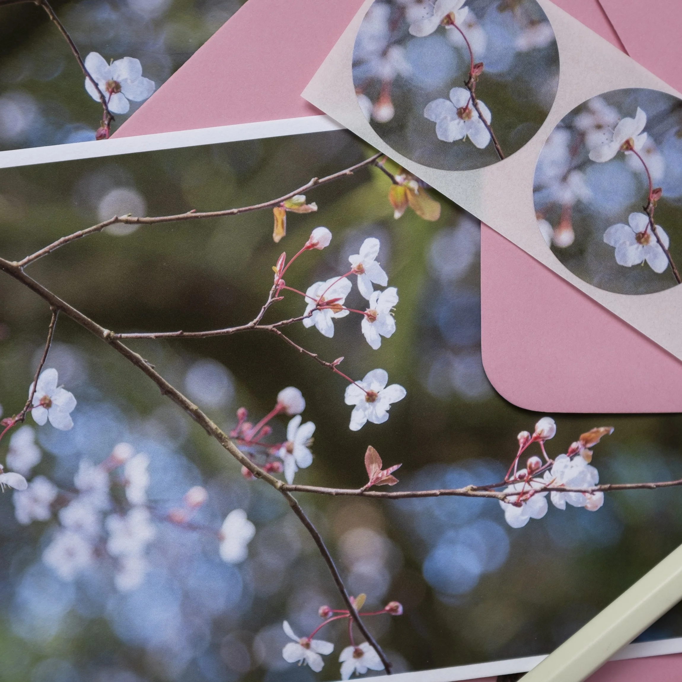 Cherry Plum Blossom Notelets Set2.jpg