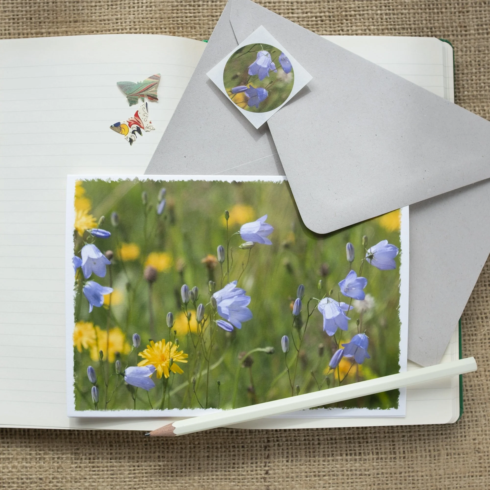 Wildflowers luxury mini-print card with wild harebells and hawkbit flowers.