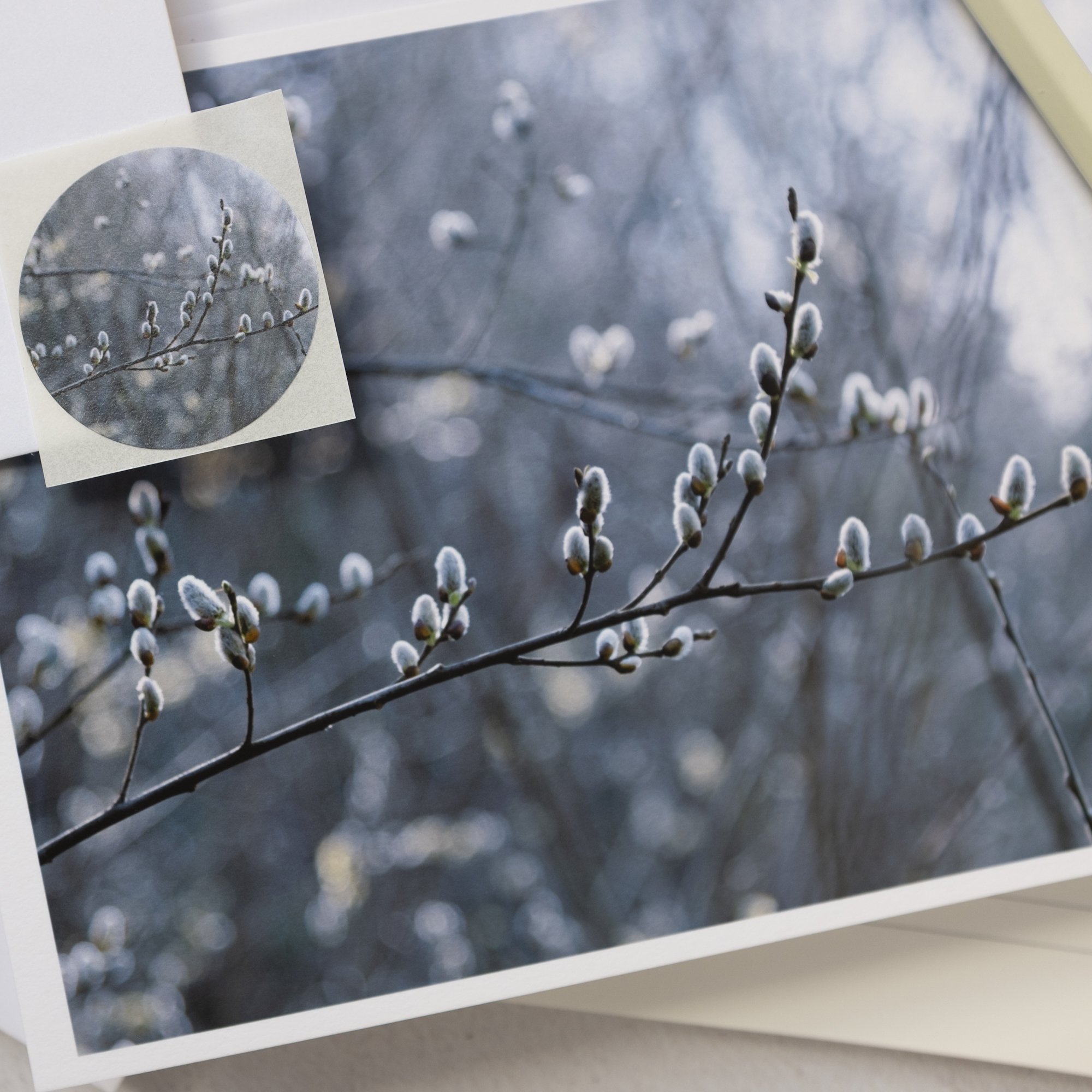 Luxury Spring Willow Card with Sticker Seal