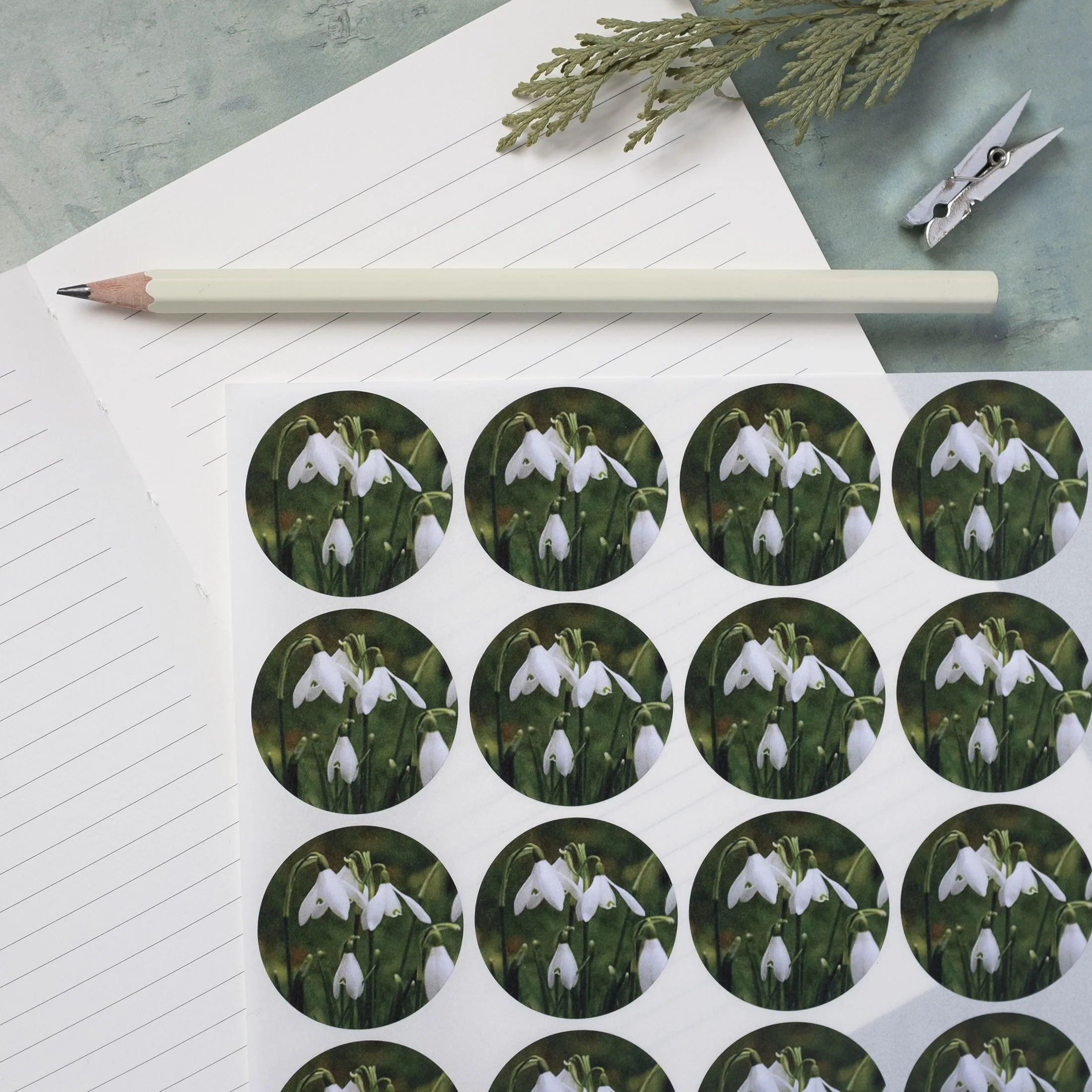 Snowdrop Stickers