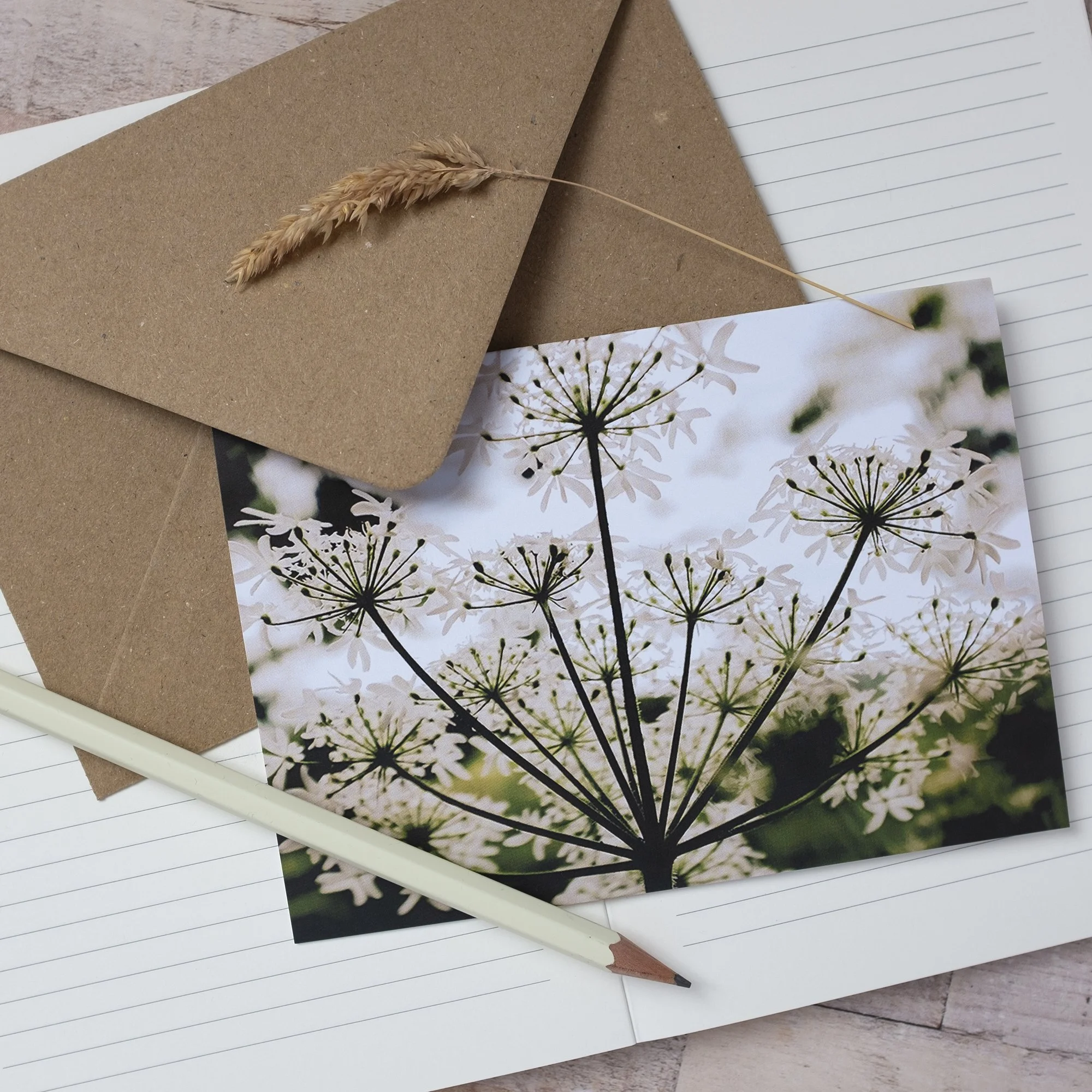 Wildflower Note Cards UK