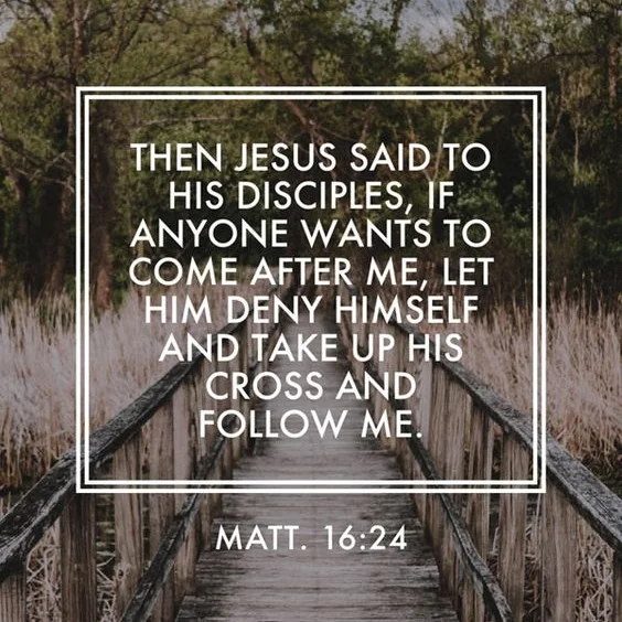 Matt16-24.jpg