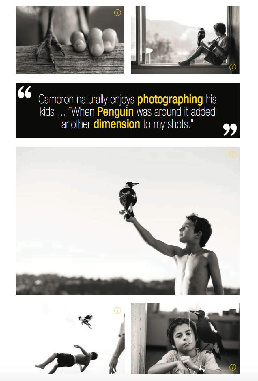 Screen Shot 2016-06-06 at 4.00.02 pm.png