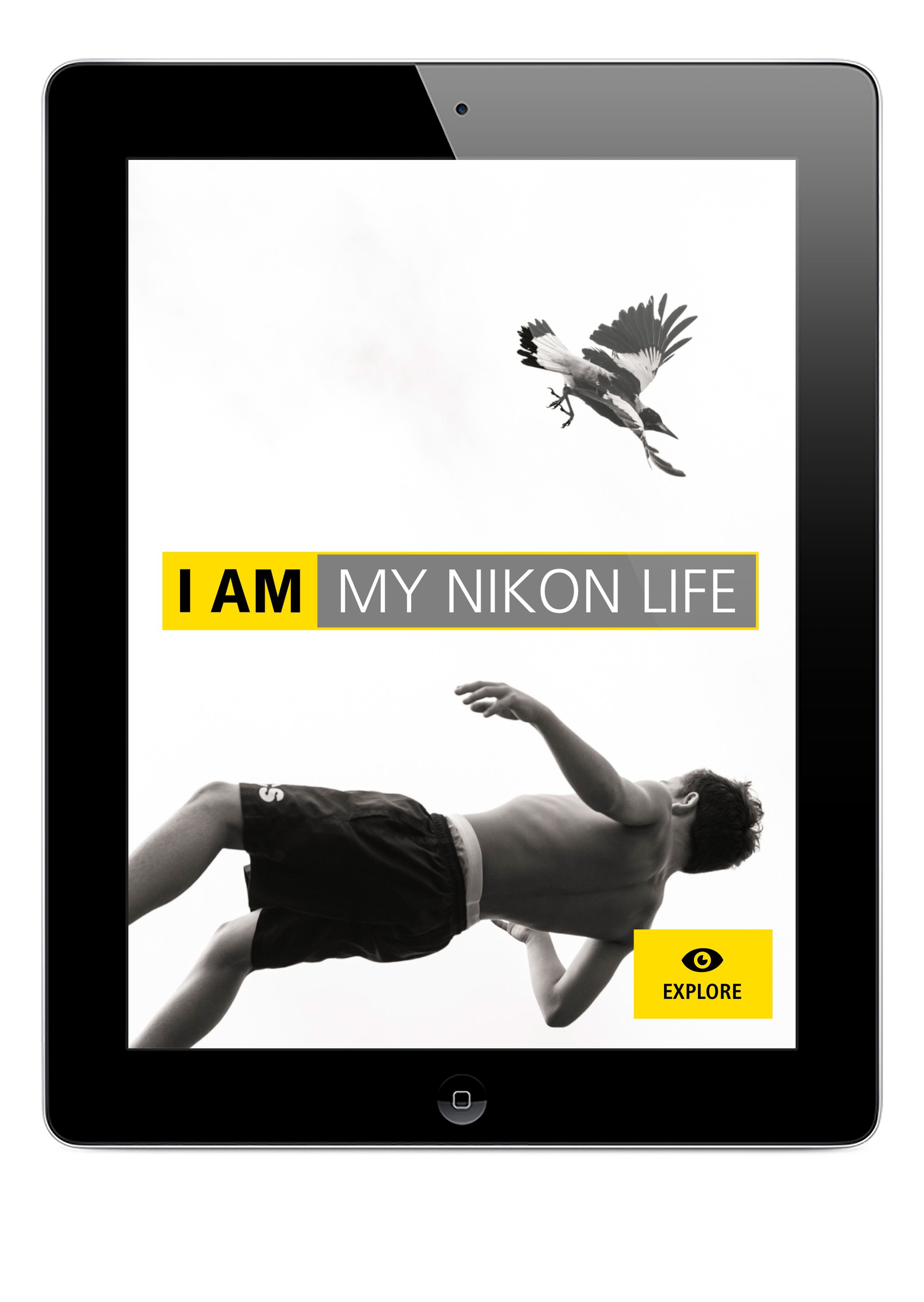 Taking flight, My Nikon Life magazine