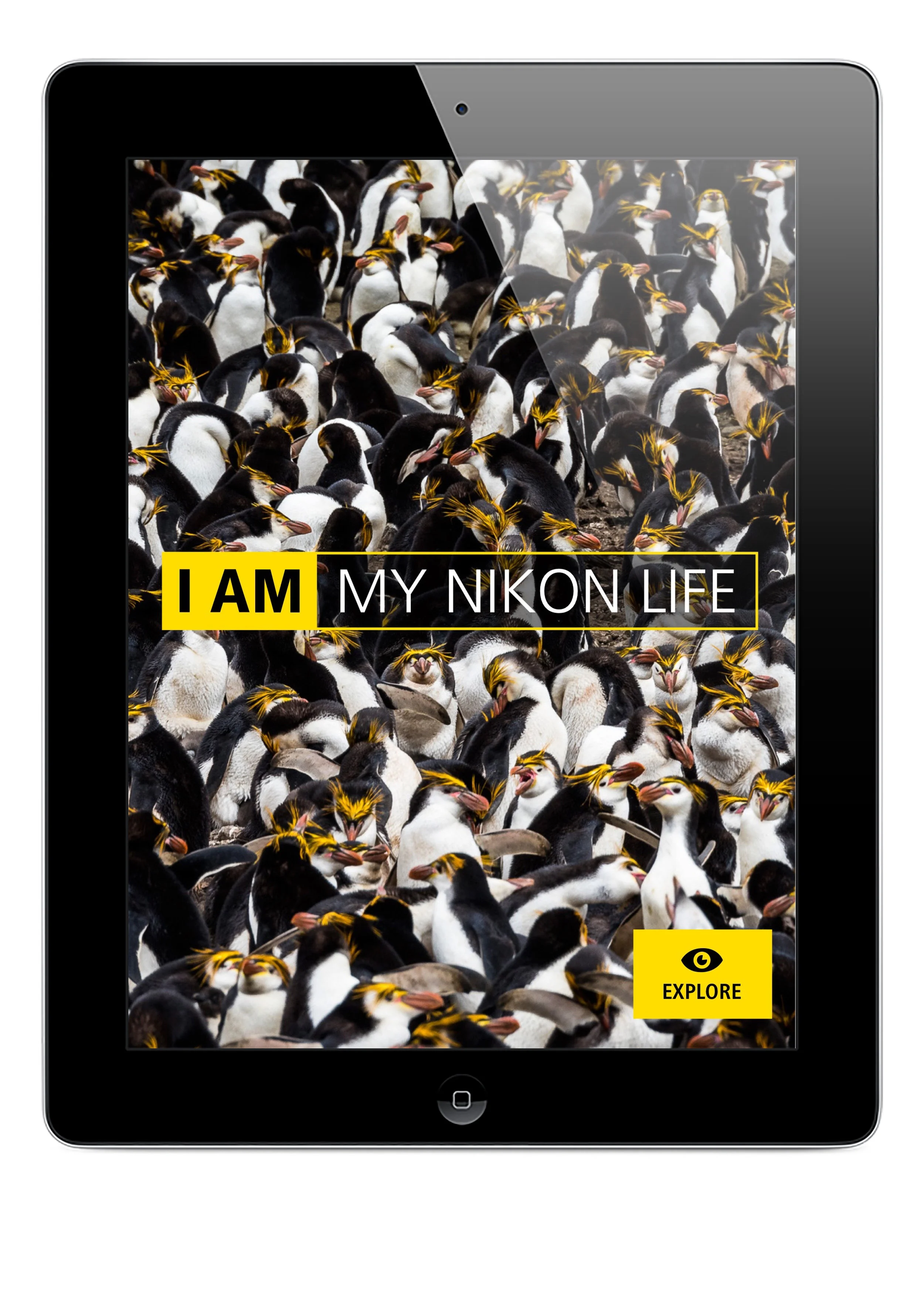 Visual impact, My Nikon Life
