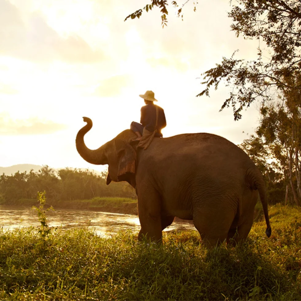 Go, give back: Positive travel, The CEO Magazine