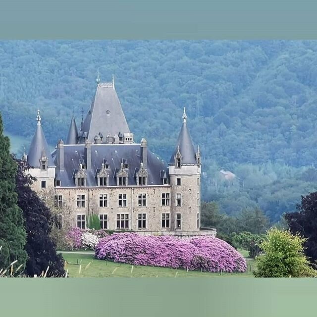 Chaque jour fleurit

#froidcour #stoumont #ardennen #garden #gardening #gardenlife #gardeninspiration #castle