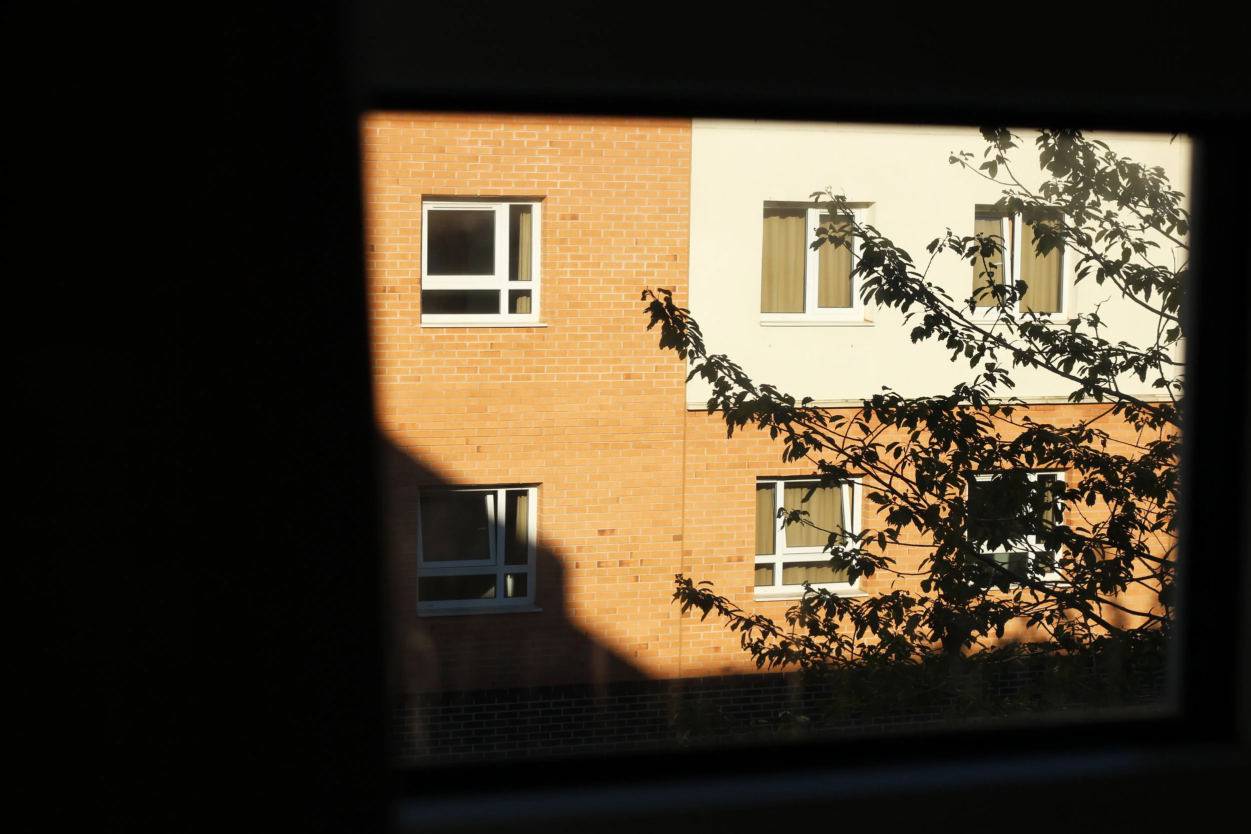 The view from our temporary home in Room 17...