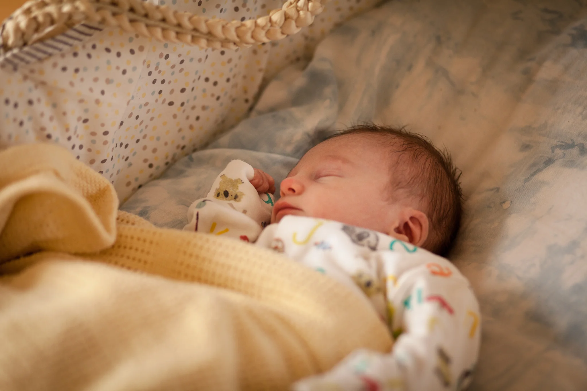 Baby Leo at 4 days old