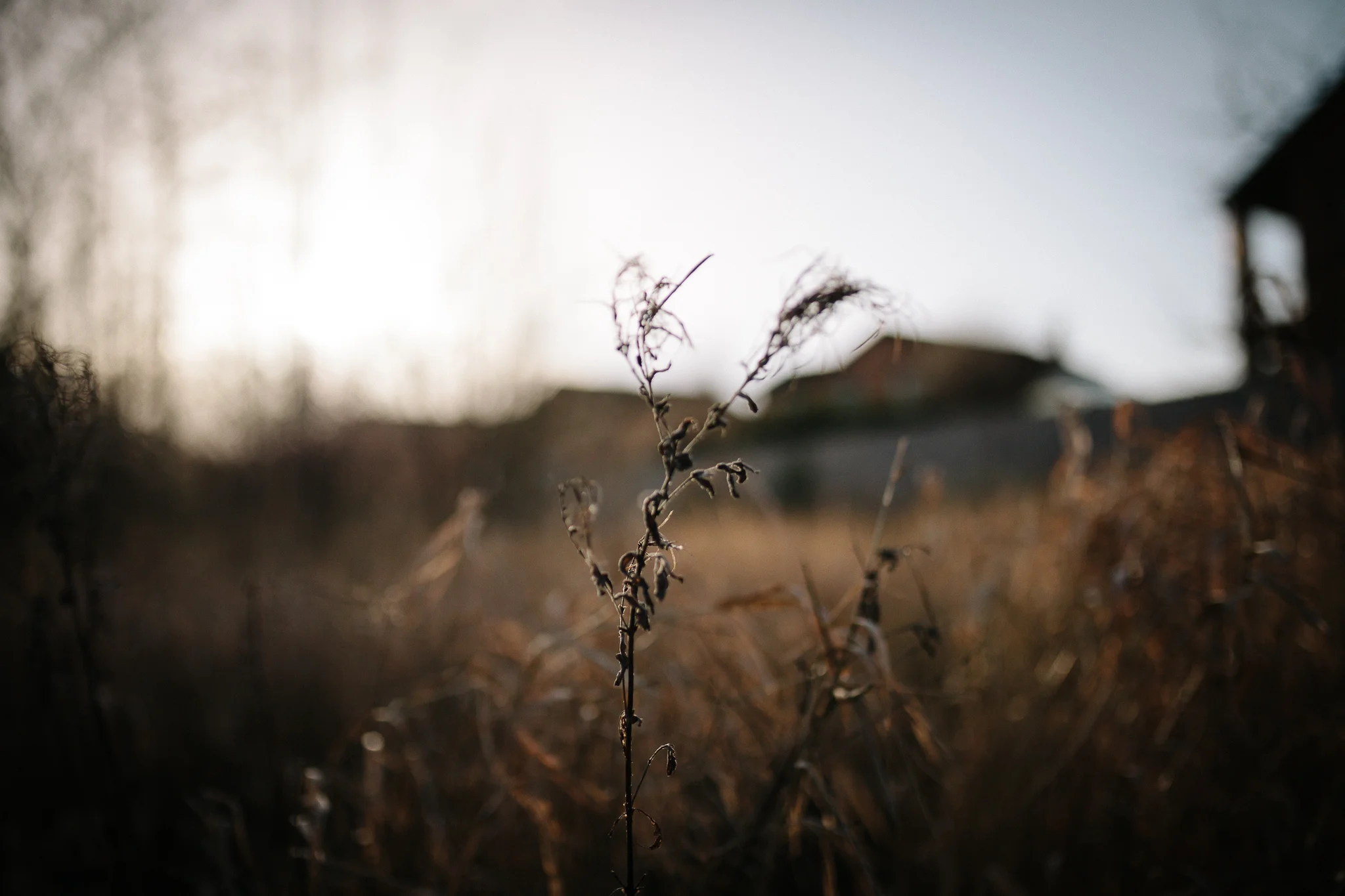 Morganna Monk Photography 190116 IMG_0746.jpg