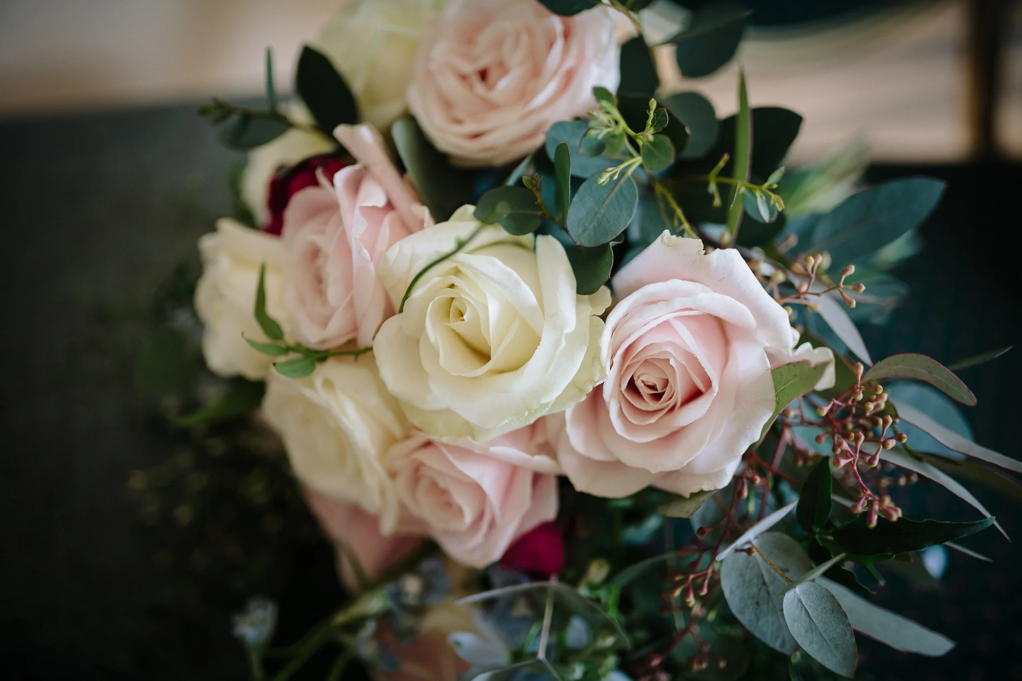 Morganna Monk Photography 190223 IMG_1071.jpg