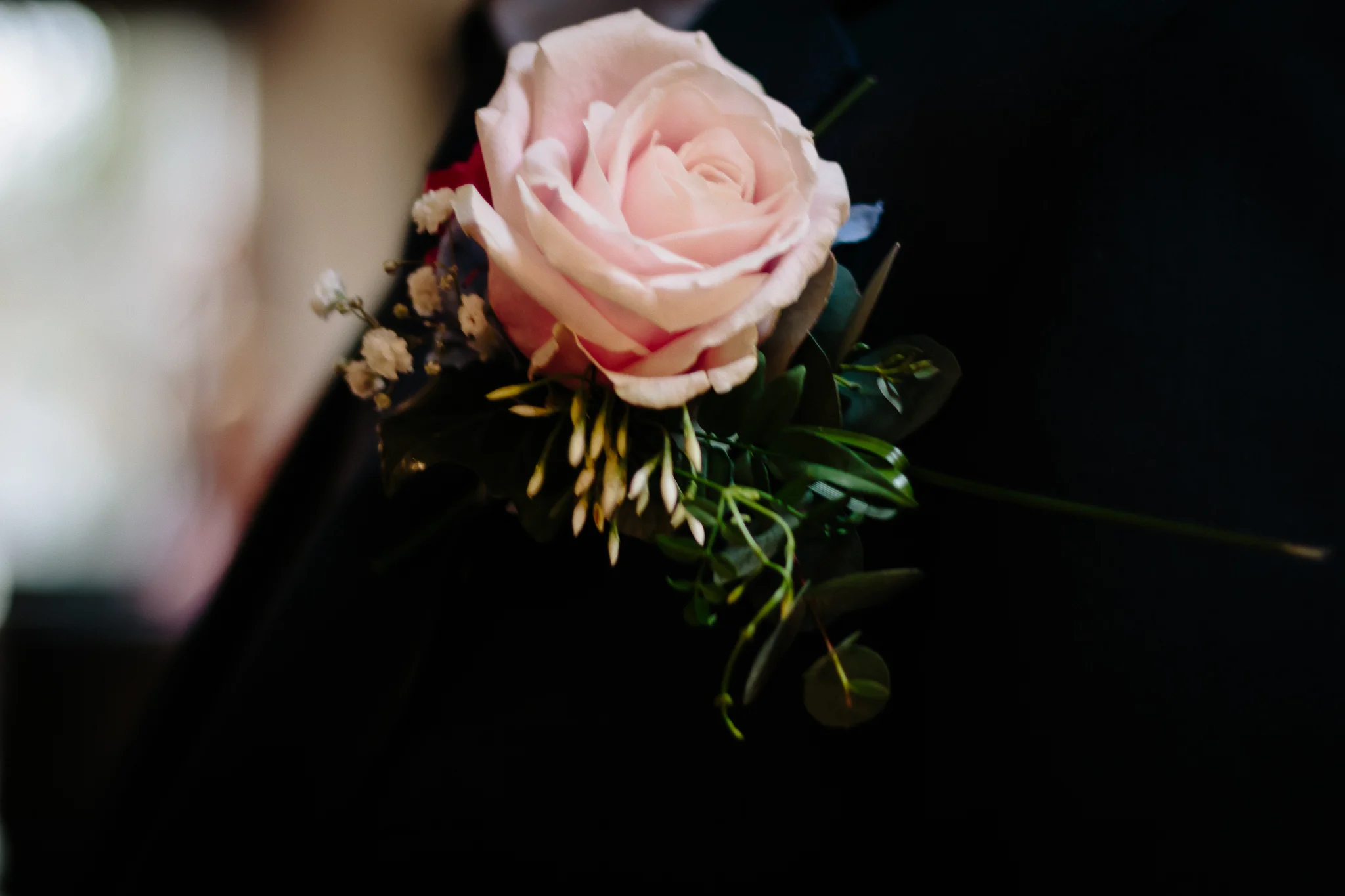 Morganna Monk Photography 190223 IMG_9391.jpg