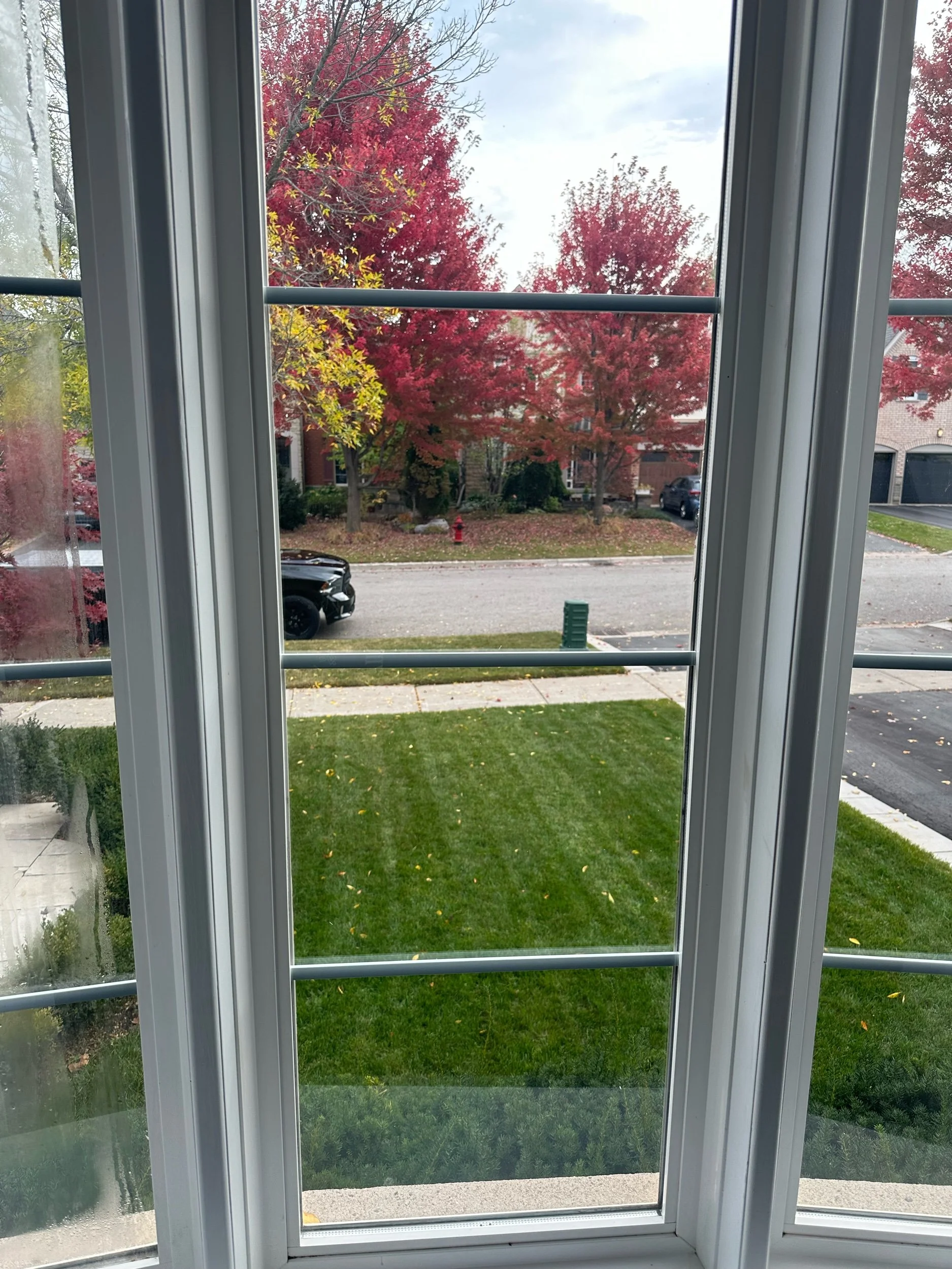 IMG_0189.jpeg (Copy)