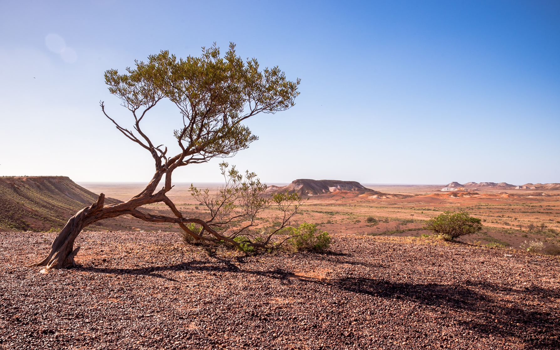 -The Breakaway Conservation Park, SA- Michelle Lake ©