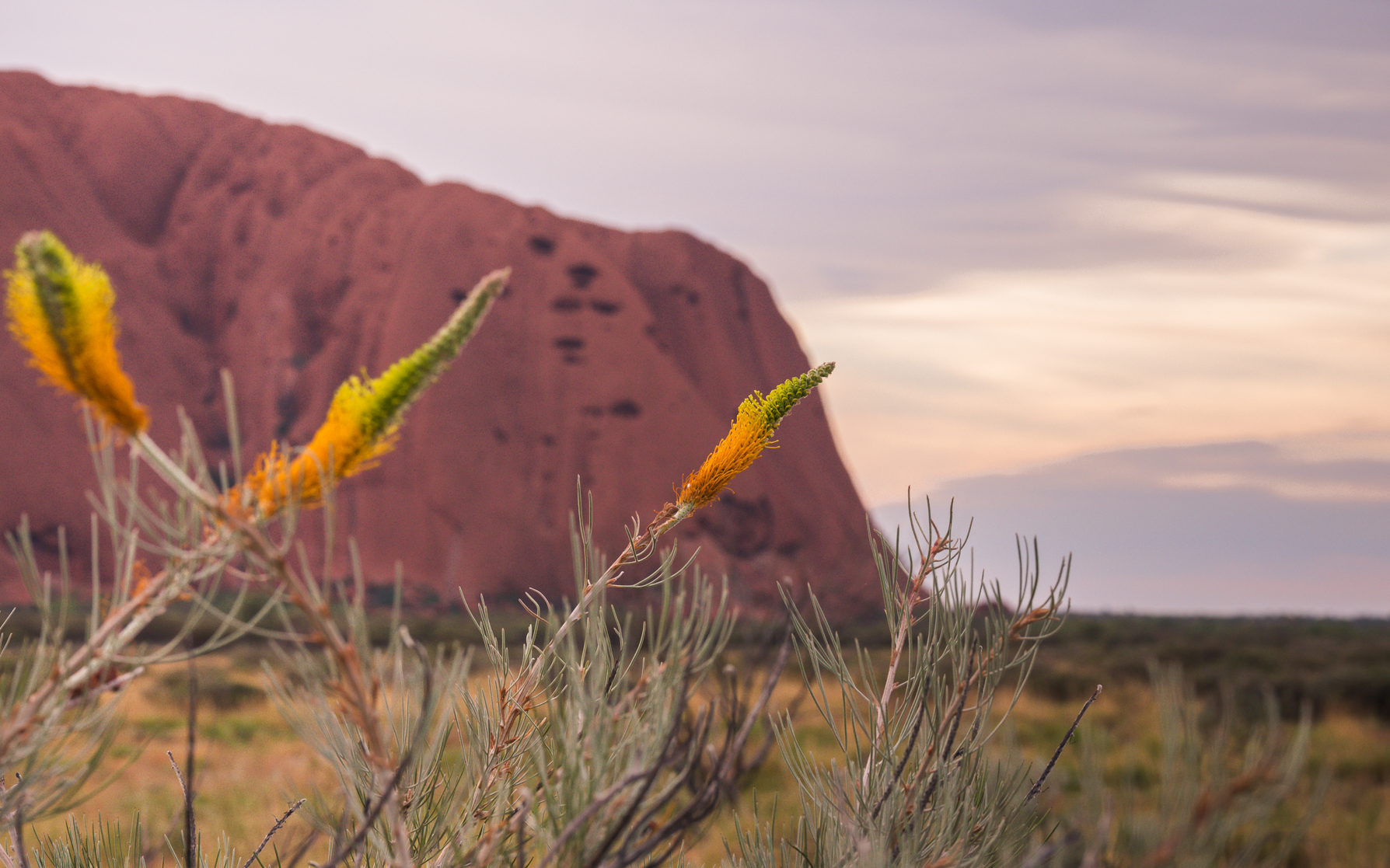 -Uluru, NT- Michelle Lake ©