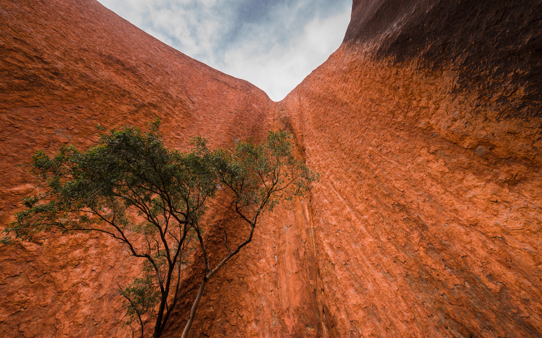 -Uluru, NT- Michelle Lake ©