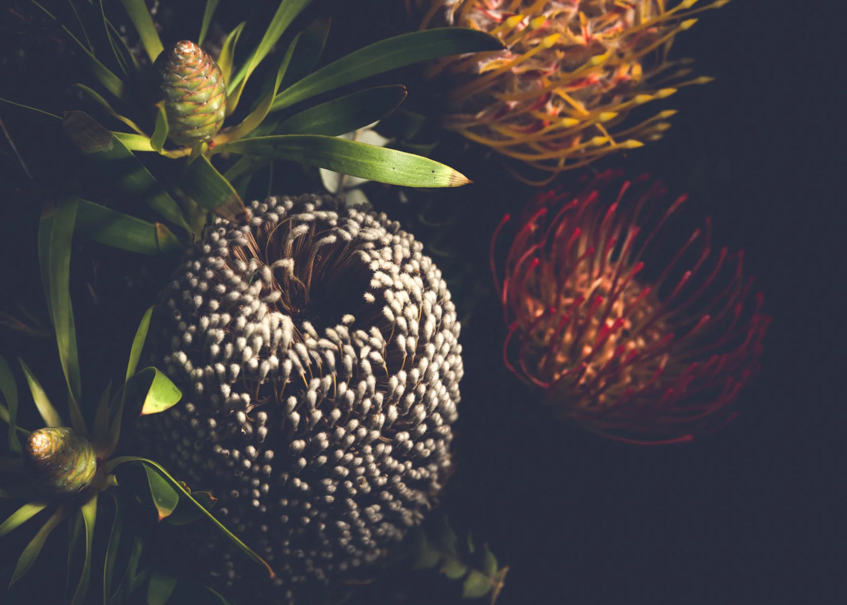 Botanicals - Michelle Lake ©
