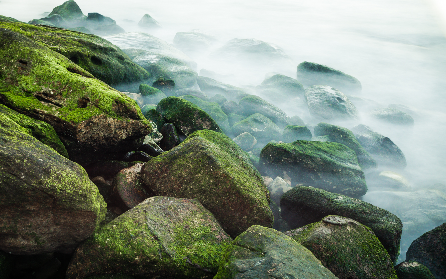 -Bondi rocks- Michelle Lake ©