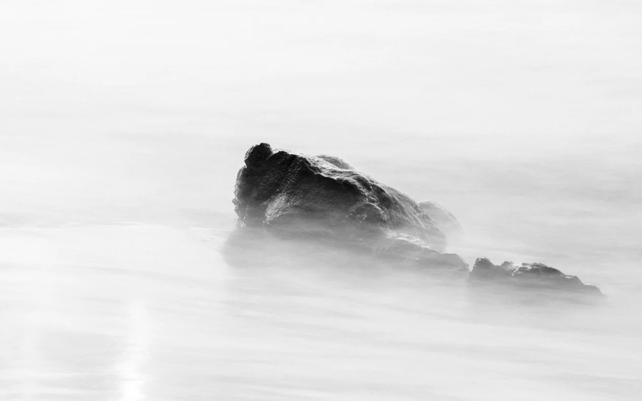 Michelle Lake ©