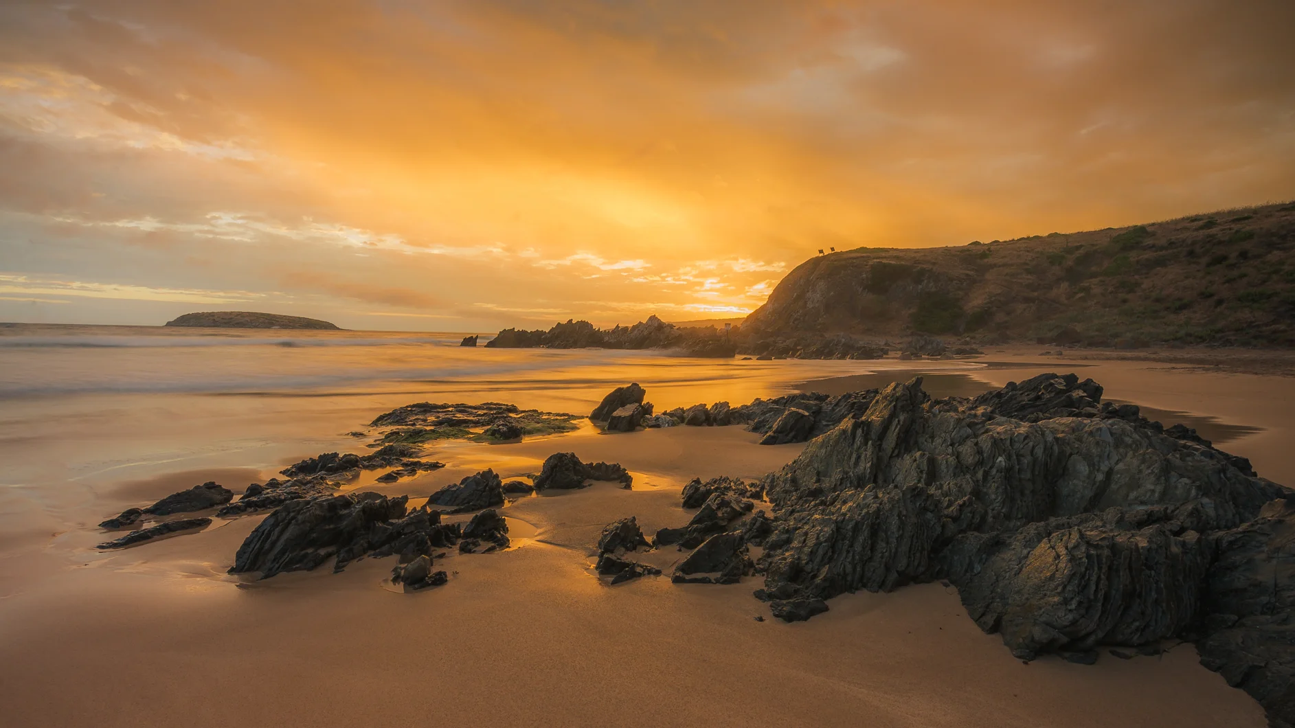 -Petrel Cove- Michelle Lake ©