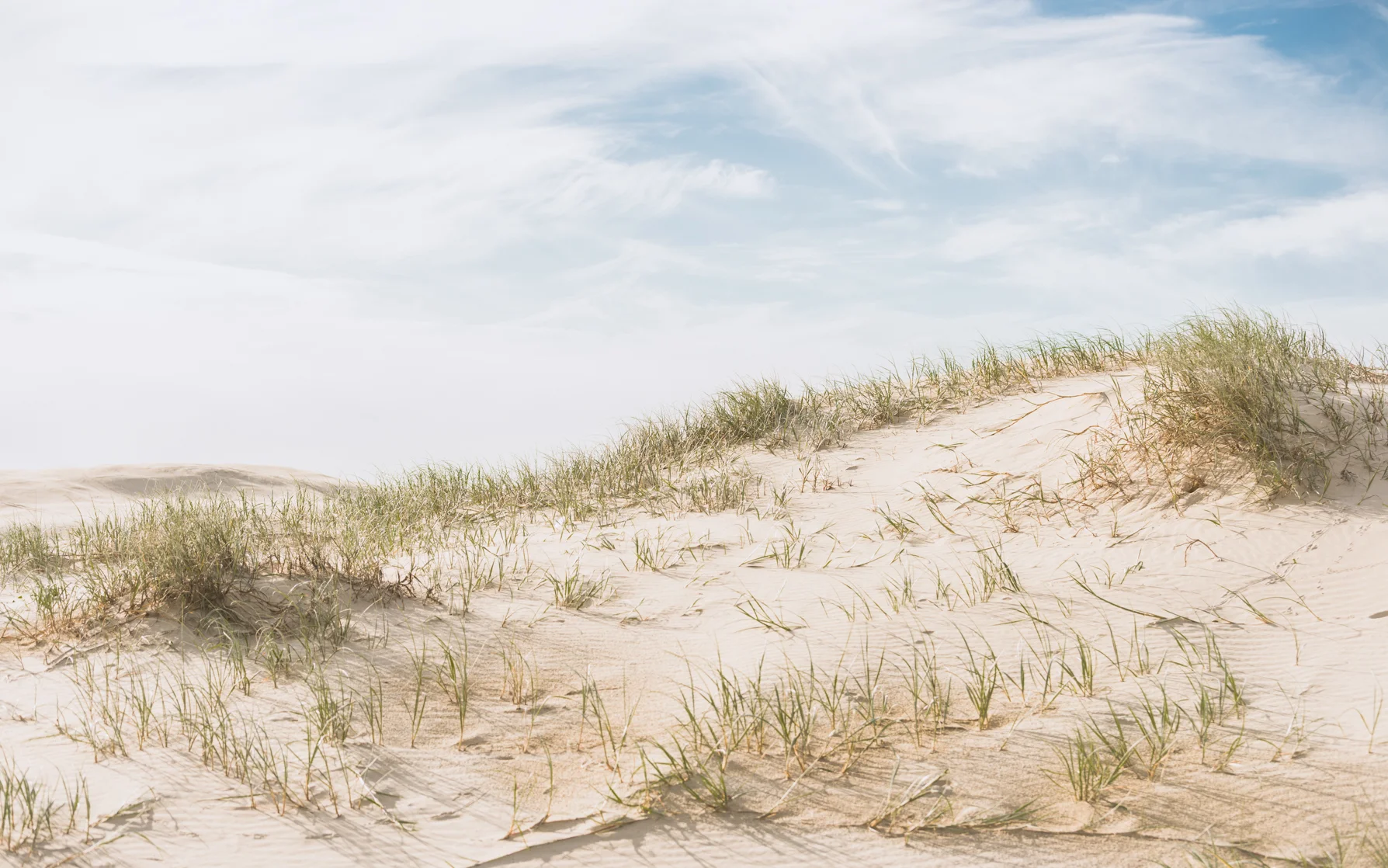 - Anna Bay Sand Dunes - Michelle Lake ©