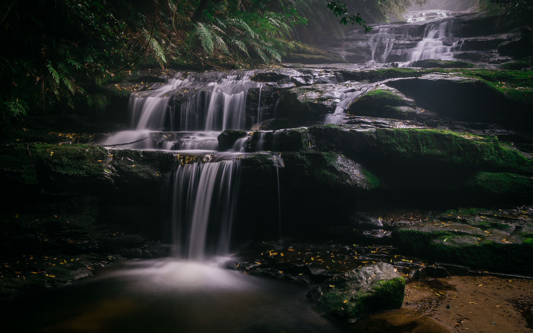 - Blue Mountains - Michelle Lake ©