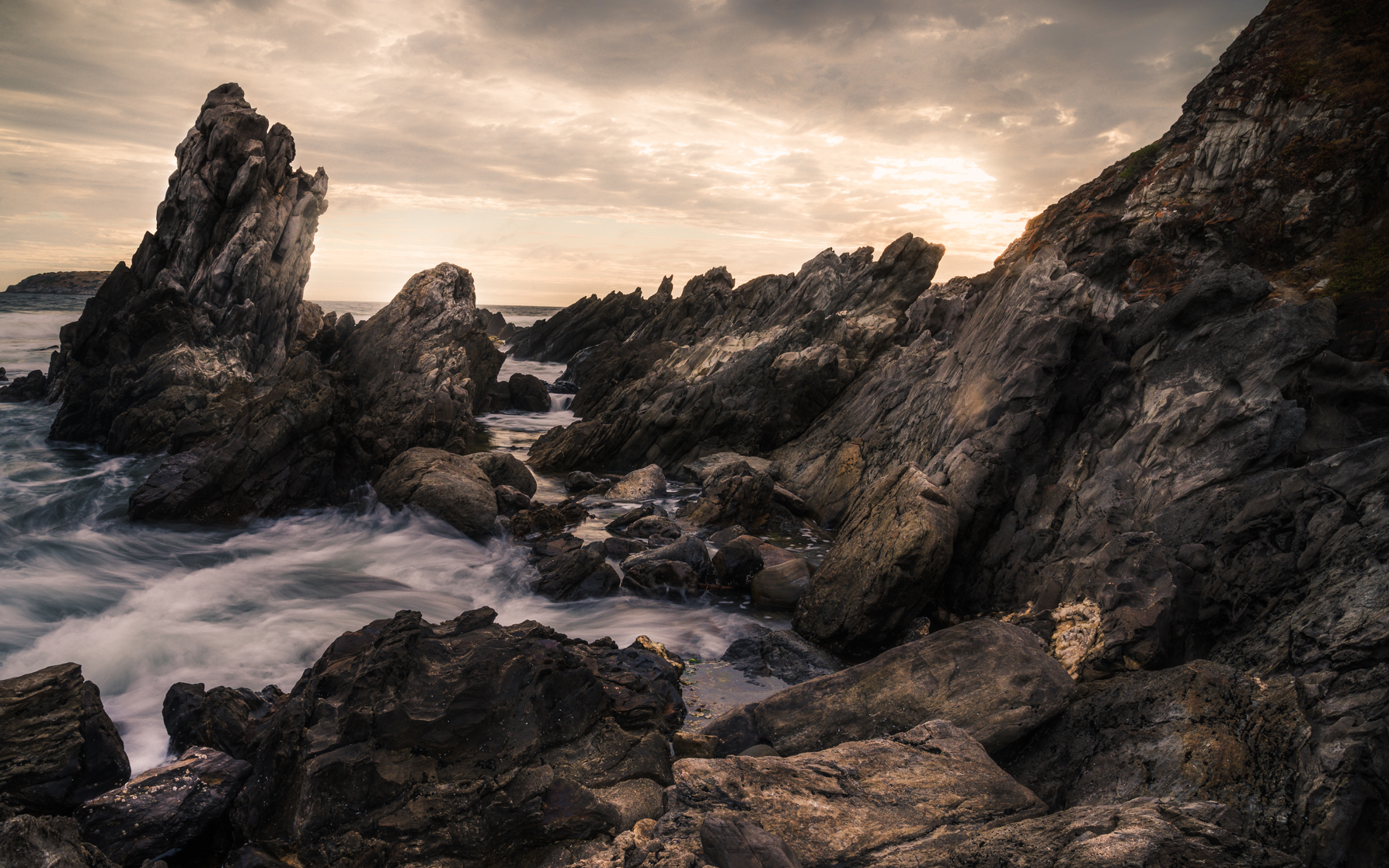 - Petrel Cove - Michelle Lake ©