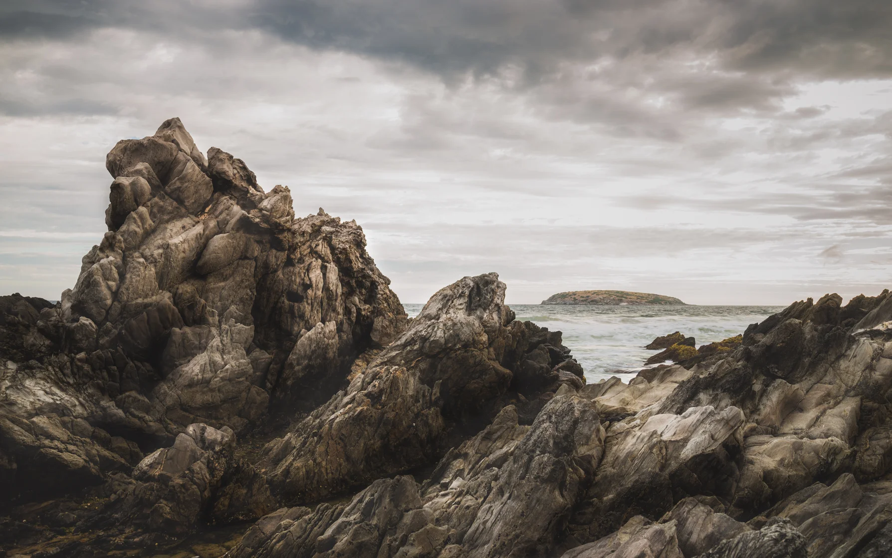 -Petrel Cove- Michelle Lake ©