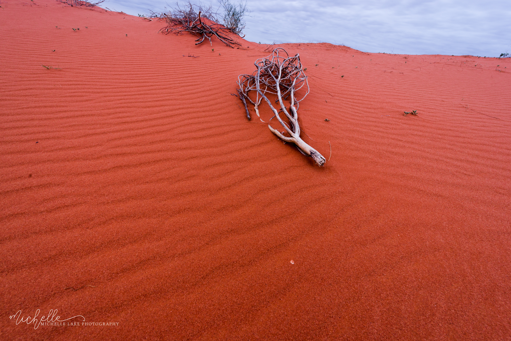 Red sand dune - William Creek 