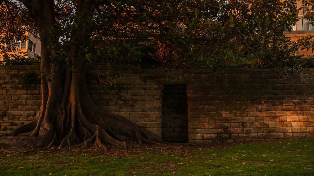 -Kirribilli- Michelle Lake ©