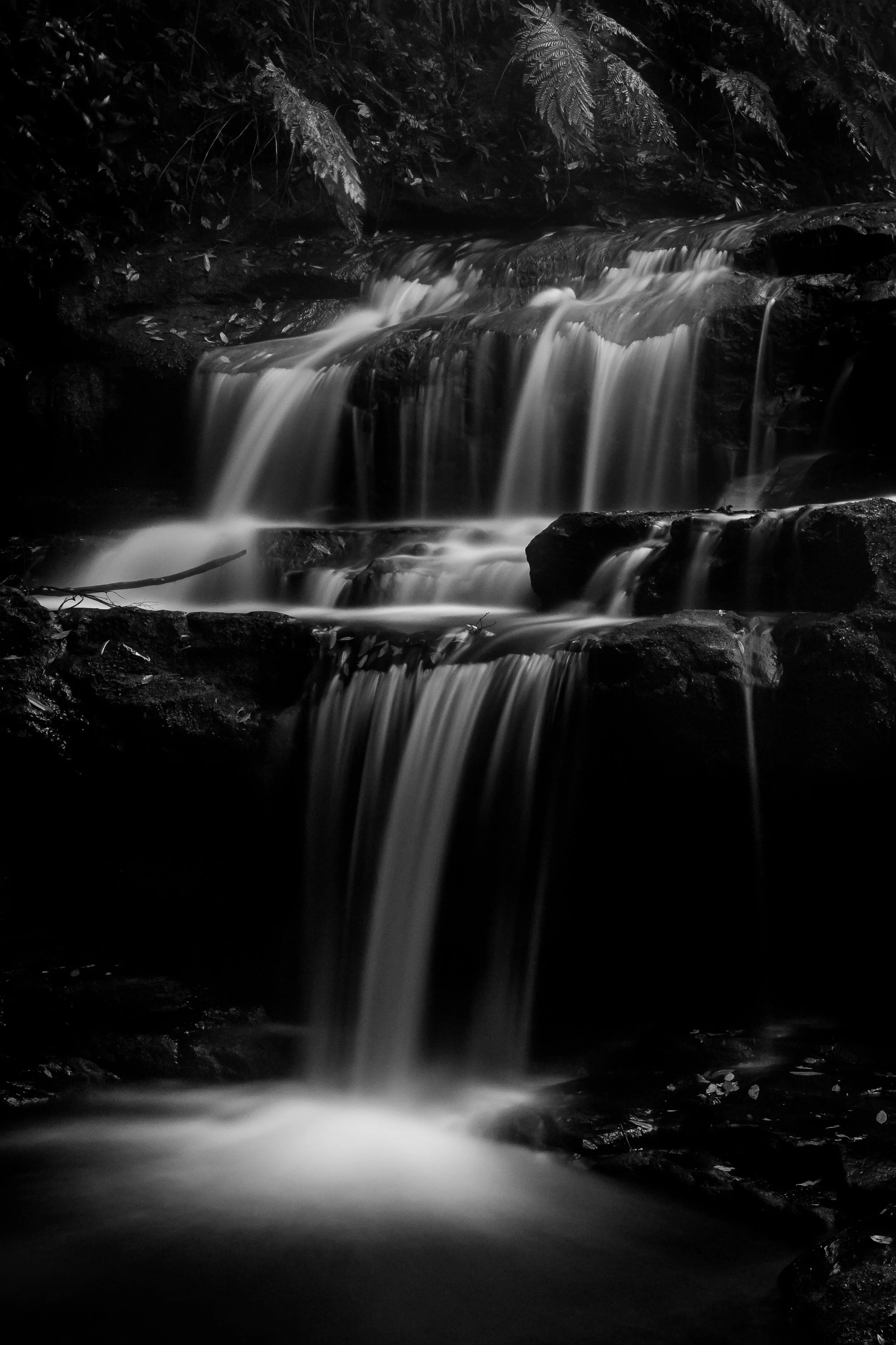 - Blue Mountains - Michelle Lake ©