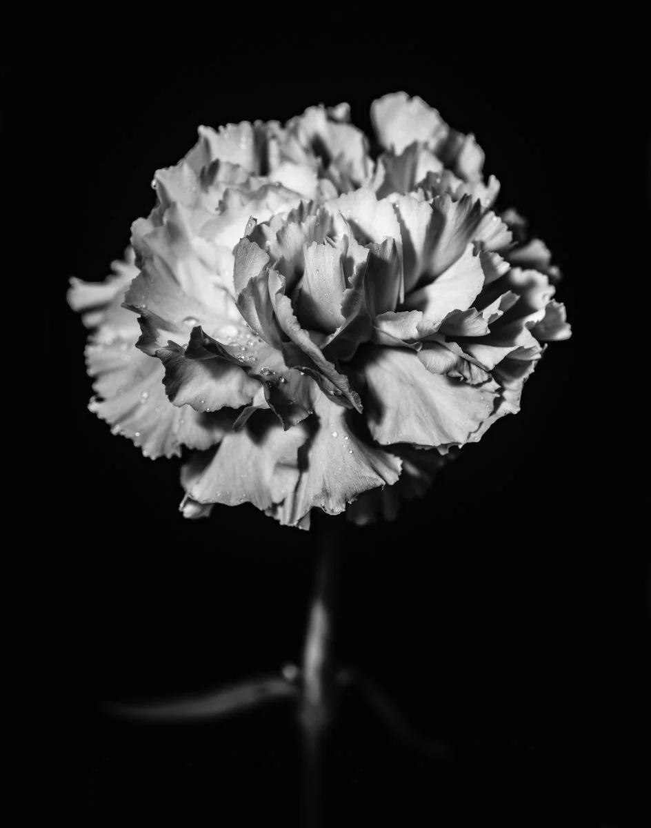 MonoVisions Photography Awards 2026