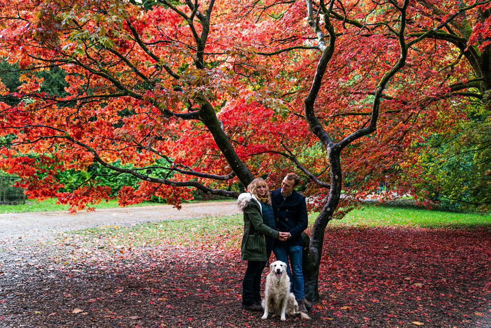 PreWedding - Westonbirt Arboretum-2.jpg